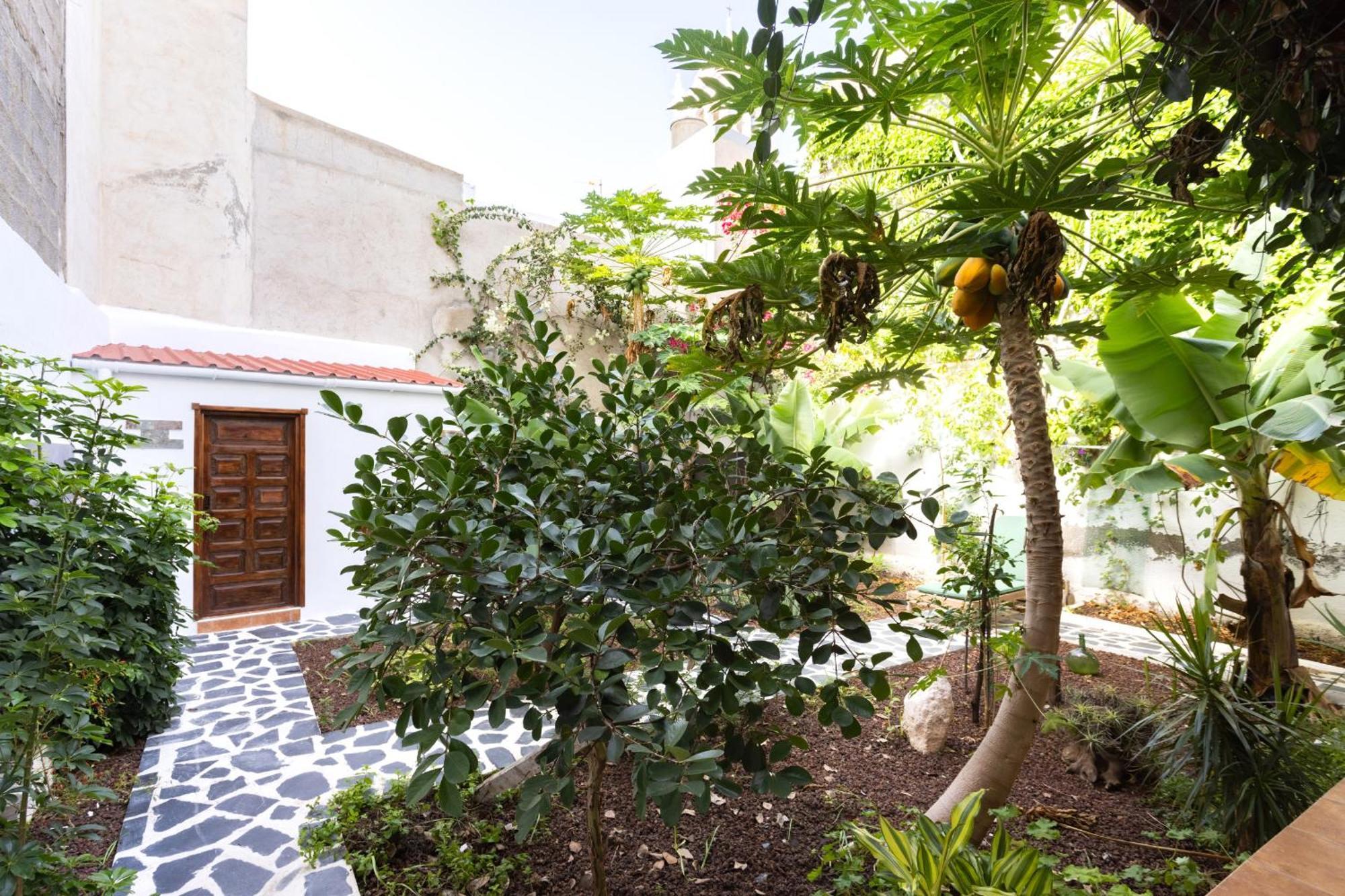 Garachico Center Secret Garden别墅 外观 照片